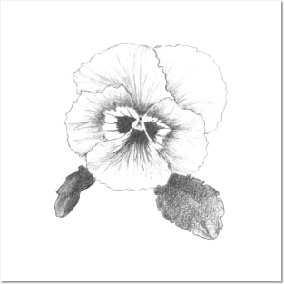 Pansy Flower Posters and Art